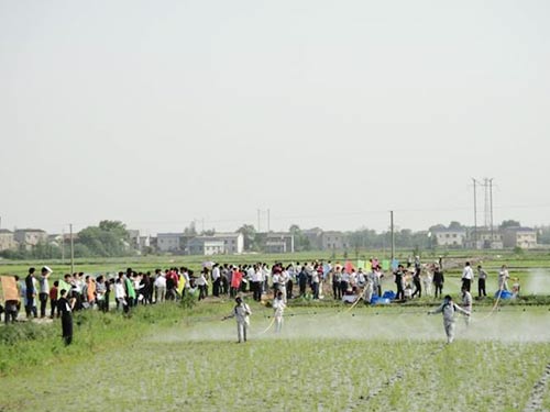 2012农作物病虫害专业化统防统治服务组织参观我公司望城现场演示会